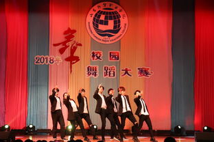 第十五屆大學生文化藝術節“舞動山外”舞蹈大賽圓滿落幕