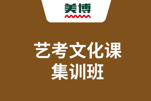 決勝藝考文化關(guān) 成都藝考生高三語(yǔ)文高效學(xué)習(xí)與文化藝術(shù)輔導(dǎo)指南